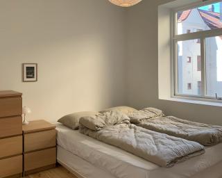 Cozy Scandinavian design apartment - 8