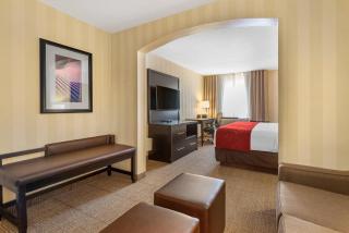 Comfort Suites Highlands Ranch Denver Tech Center Area - 1