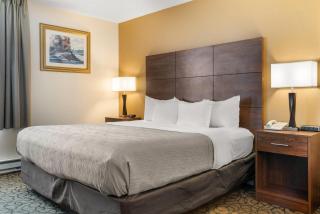 Quality Inn & Suites Manistique - 8
