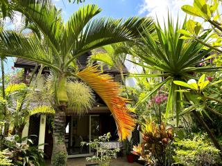 Maison Paradis - 1