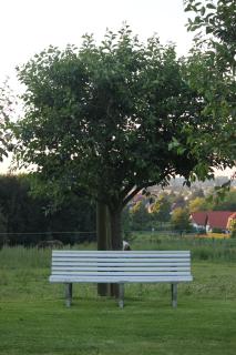 Hotel Pension Haus Stork - Holzhausen - 6