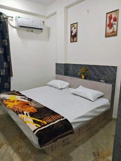 1BHK Apartment in Central Indore - 1