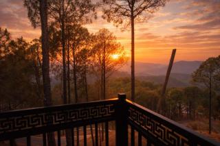 The Whistling Pine Homestay - 7