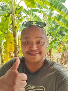 Jungle zone pai - 3