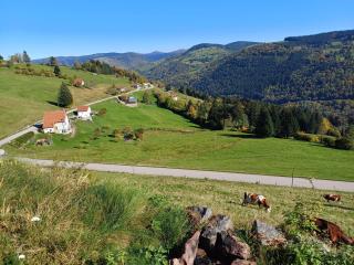 Côté Montagne - 7