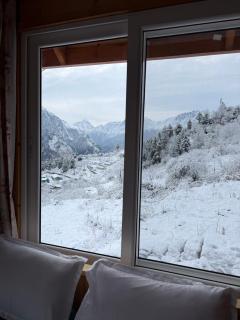 The Auli Meadows - 7