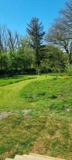 Delightful Shepherd's Hut set in peaceful meadow - 4