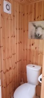 Delightful Shepherd's Hut set in peaceful meadow - 1