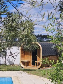 VILLA LES OLIVIERS, piscine chauffée XXL, jardin de 2500m2, ping pong, proche plage et lac - Léon - 5