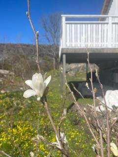 Havsnära lägenhet på gård - 1