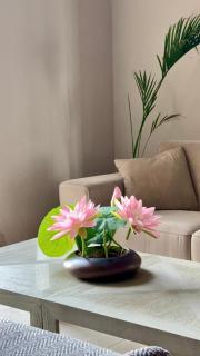 Modern 2BHK in GIFT City - 1