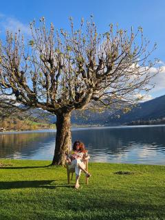 Ferienwohnungen am See _ Hinterseer - 7