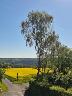 Ferienwohnungen Blumenschein - 3