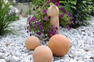 Appartements Agnes - 4