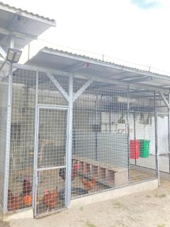 Pet Lover's Cabin - 8