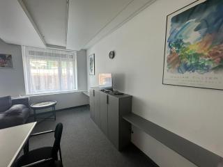 Premium Business & Holiday Apartments P12 - Vienna - 8