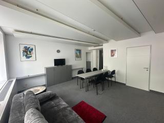 Premium Business & Holiday Apartments P12 - Vienna - 5