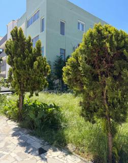 Apartment Andrea Durres - 0