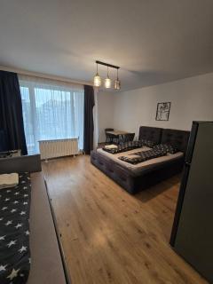 Monarch Luxury Stay - 1