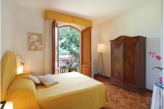 Camelia - 5
