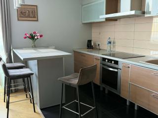 Žolynų River Apartment - Self Check-in and Free Parking - 1