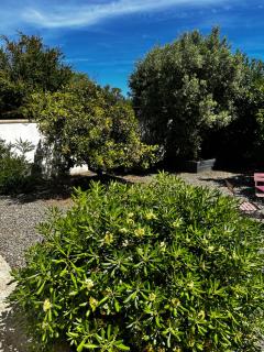 Très belle villa avec piscine chauffée CASALEONI - 8