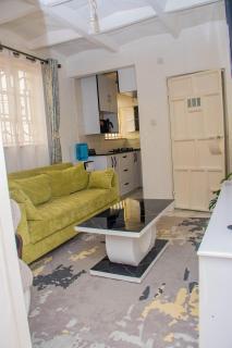 The Swan Apartment - Naivasha, Kenya - 6