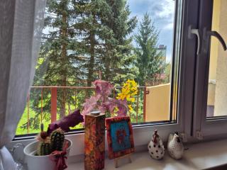 Apartament Nel Zabobrze - 9