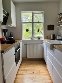 Beautiful home with yard in downtown Reykjavik - 3