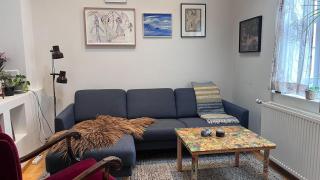 Beautiful home with yard in downtown Reykjavik - 2