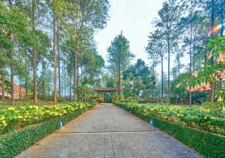 Mistaura Home Munnar By Voye Homes - 3