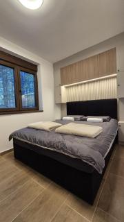 Forest Loft - 9