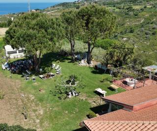 Casetta sull'Albero con Animali & Vista Mare - 3
