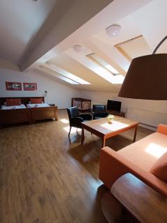 Hotel U Zlatého kohouta - 8