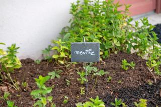 Gite La Petite Maison Mazères - 1