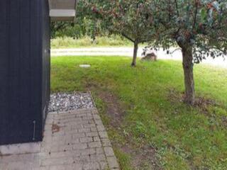 4 star holiday home in Asnæs - 9
