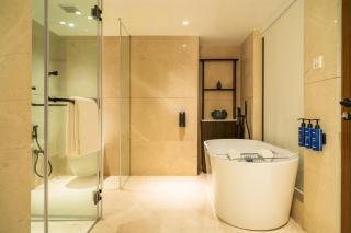 Radisson Blu Hotel Ahmedabad - 8