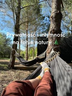 Leśna Sauna Wilcze Wzgórze - 9