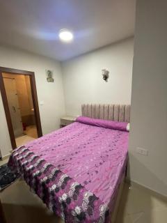 Furnished PV Chalets in Princess Resort Near Air port WIFI - 8