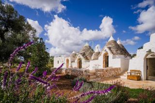 TD Trullo YuMe Whispering Olive Grove - 4