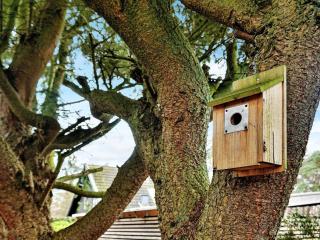 4 star holiday home in Trelleborg - 4