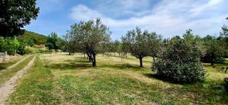 Gîte au calme en campagne - 7