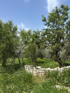 Featured House Furnished Independent for Rent - Ajloun - 7