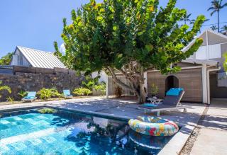 Des Aigrettes 1CH La Kaz Bourbon Pool - 6