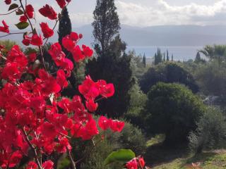 Villa Pilias Methoni - 9