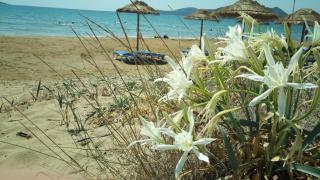 Villa Pilias Methoni - 4