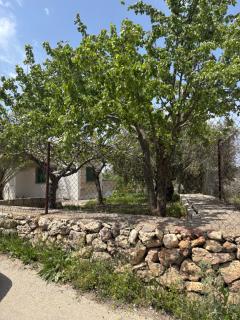 Featured House Furnished Independent for Rent - Ajloun - 9