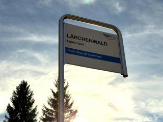 Lärchenwald 1808 - 8