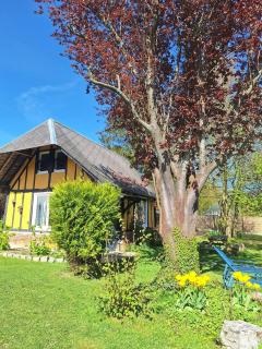 La petite maison - Le Bosc-Roger-en-Roumois - 5