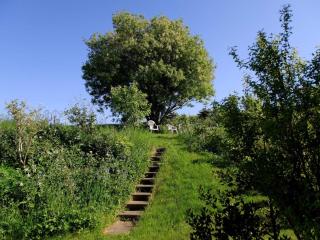 6 person holiday home in Knebel - 6